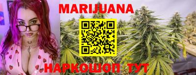 индика Заволжье