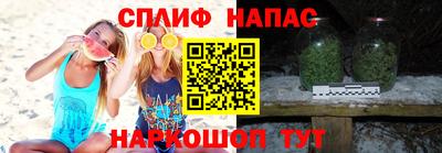 индика Заволжье